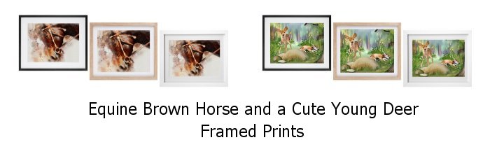 New Equine Horse and Young Deer Framed Prints